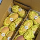 신선건어물 | 총각네 압구정점 과일가게 방문후기 – 신선한 과일·야채·건어물, 선물세트·배달까지 한 번에