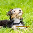 정강동물병원 이미지