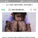 gmo 식품의 부작용 이미지
