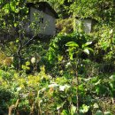 설악농장 이미지