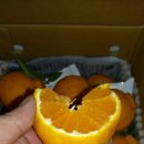 달콤하우스 이미지