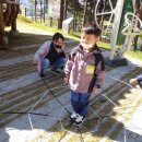 부강유치원 이미지