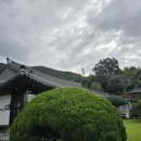 고향집 농박 이미지