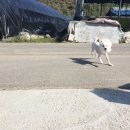 빙수네민박 이미지