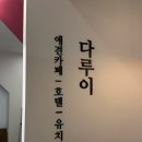 다루이(DARUI) | 가산디지털단지역애견유치원 애견카페 @다루이