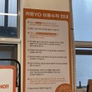 커멍 | 수원 인계동 애견카페 루프탑 커멍요 솔직후기