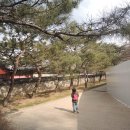 121호공원 이미지