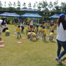 안중파랑새유치원 이미지