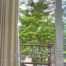 자연을 마시는 우리차 | 속리산 말티재 자연휴양림 후기 설앵초 예약 꿀팁부터 바비큐 준비물까지