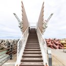 강릉경포물회 이미지