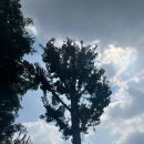 먹적골어린이공원 이미지