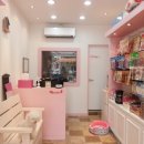 개바라기 이미지