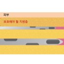 스카이라인의원 이미지