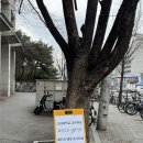 고려대역 | 고려대 교우회관 결혼식 하객 후기 🤍 고려대역 2분 거리 + 뷔페 솔직후기