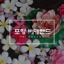 비데랜드 네이버블로그