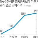 더마트24축산 이미지