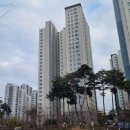미사올리브부동산중개 | 하남 감일지구.미사강변지구...실수요자 관심커져