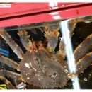 대명상회 이미지