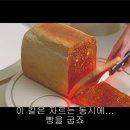 1타2피 이미지