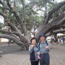 RAINBOW CASTLE 이미지