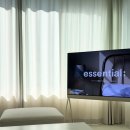 스테이더크로스 네이버블로그