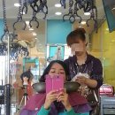 수정칼라 이미지