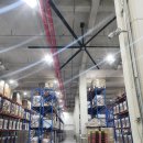 아라육로 이미지