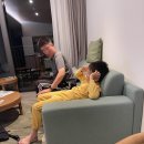 경포파인 이미지