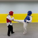 비젼태권도 이미지