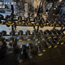 근뚜루 짐 | 시흥시 헬스장 근뚜루짐 24시 헬스 PT 배곧점 내용가격운영시간주차리뷰 알아보기