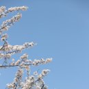 개금1동-8 이미지