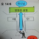 ● 흑인들만 사는 섬 이미지