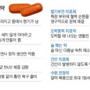 미래 10대 알약 신약연구 중.. 탈모치료제는? 이미지