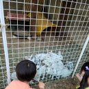 불국어린이집 이미지