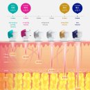 더마티스트의원 이미지