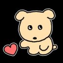 봄 설레임 콘서트 이미지