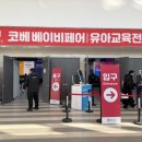 2026 1월 수원 베이비페어 사은품 득템 육아용품 구매 후기