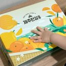 만감 | 추운 겨울, 택배로 온 달콤한 선물 아이들이 먼저 알아본 제주만감 후기