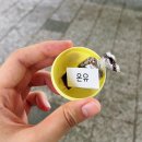 신체의 열매 이미지