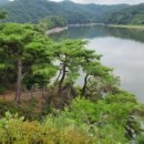 멍 때리는 전망대 이미지