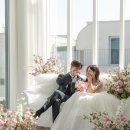 네스스튜디오 네이버블로그