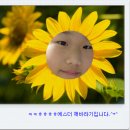 에스더하우스 이미지