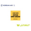 대한서비스 | [삿포로/항공권] 대한항공 진에어 공동운항 예약 후기(부가서비스, 위탁수하물)