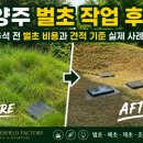 남양주인력 | 남양주 벌초 작업 후기｜추석 전 벌초 비용과 견적 기준 실제 사례