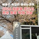 새마을회관경로식당 | 호근로 벚꽃축제 실시간 후기, 꽃은 없어도 웃음은 만개!-대륜세탁소 서호새마을금고 정류장 포토존은...