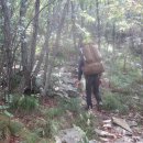 황장산민박 이미지