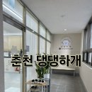 댕댕하개 이미지