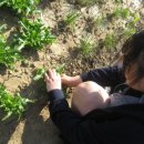 승은농장 이미지