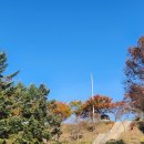 미사뚝방산책로 | 미사뚝방꽃길 후기