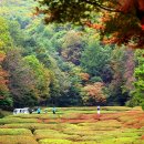 오크밸리CC